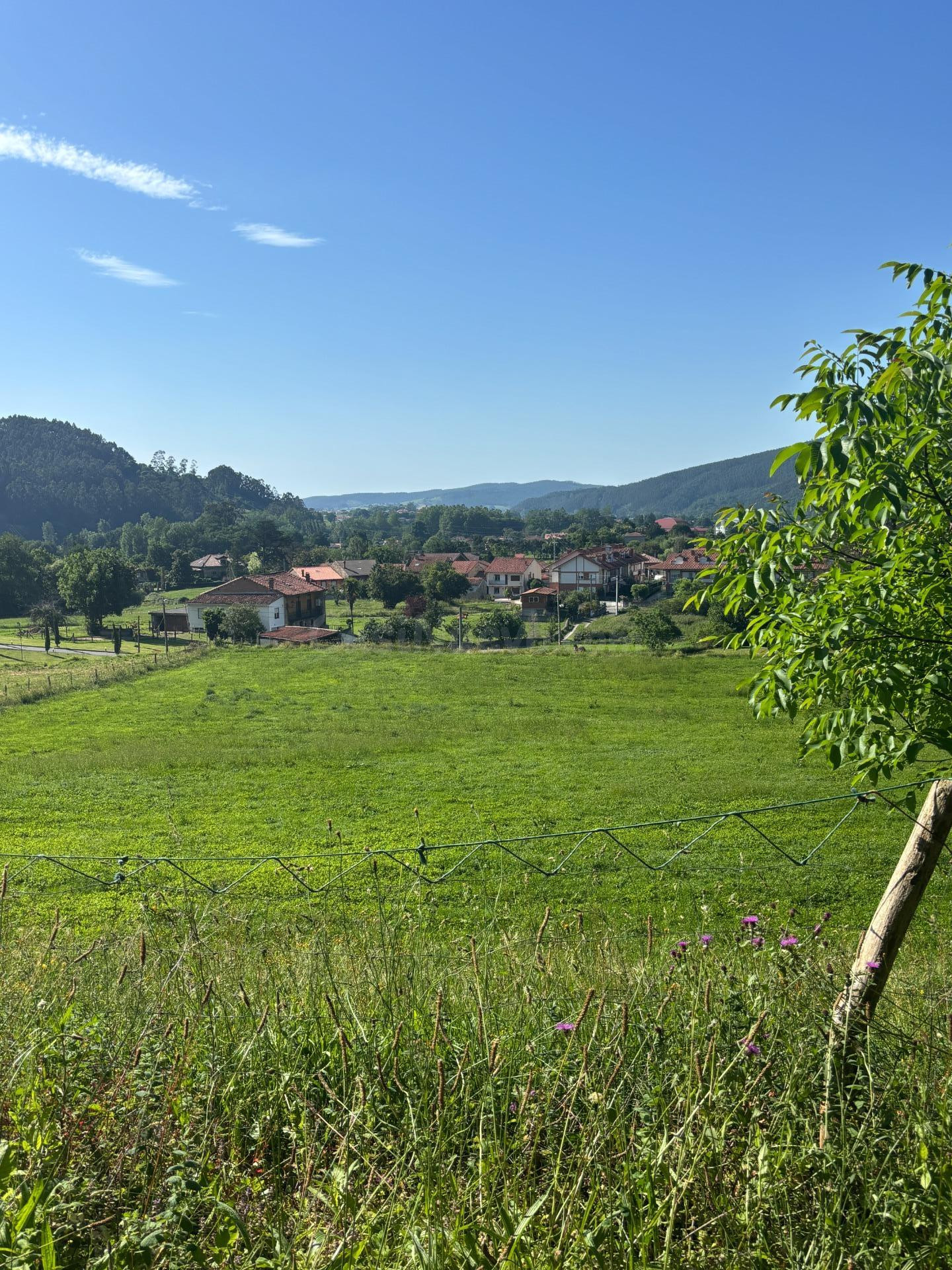 Terreno rustico con posibilidad de construir - foto 4