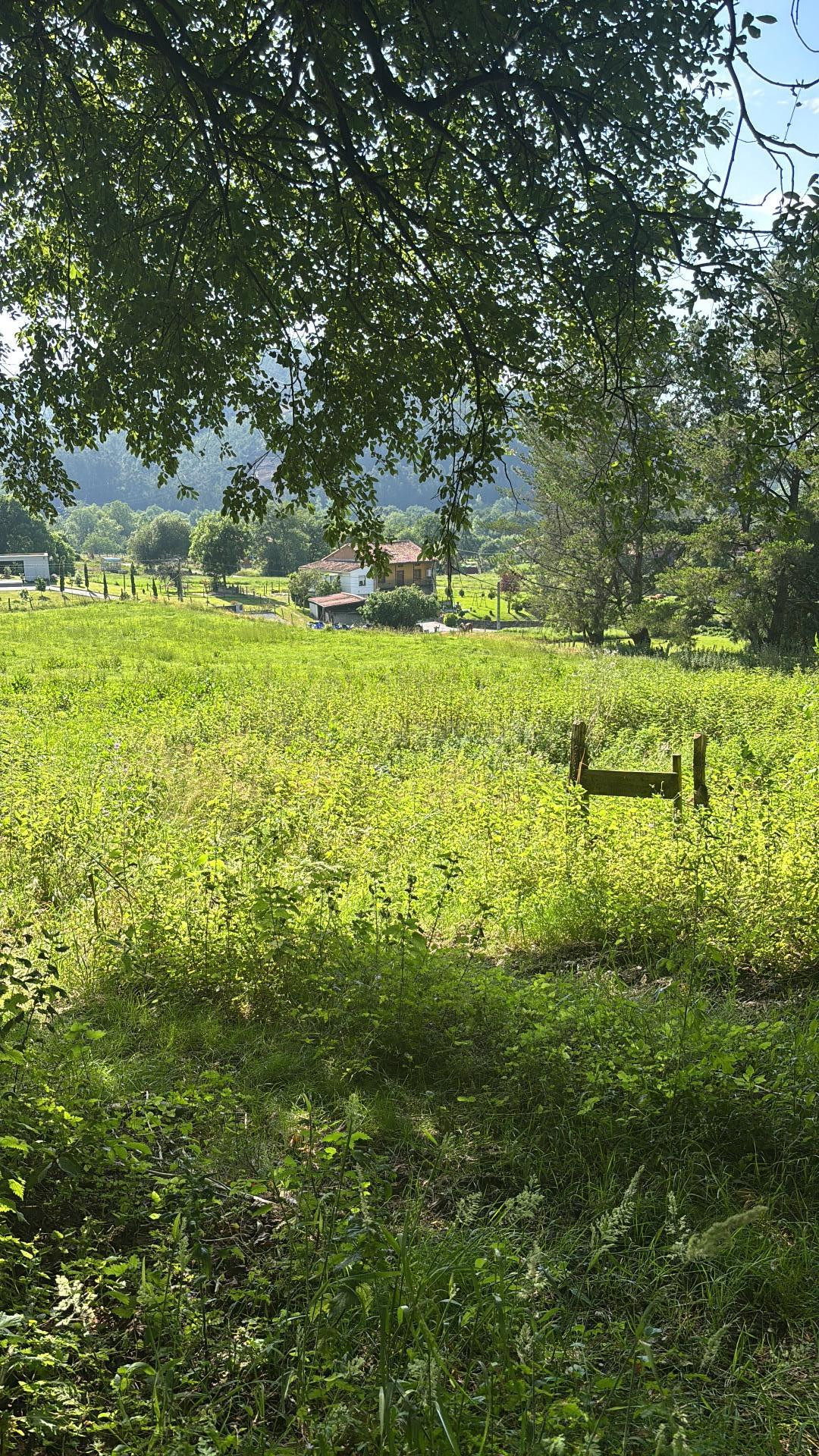 Terreno rustico con posibilidad de construir - foto 5