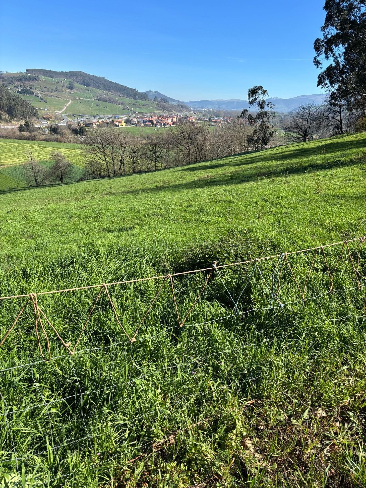 Terreno rustico con posibilidad de construir - foto 2