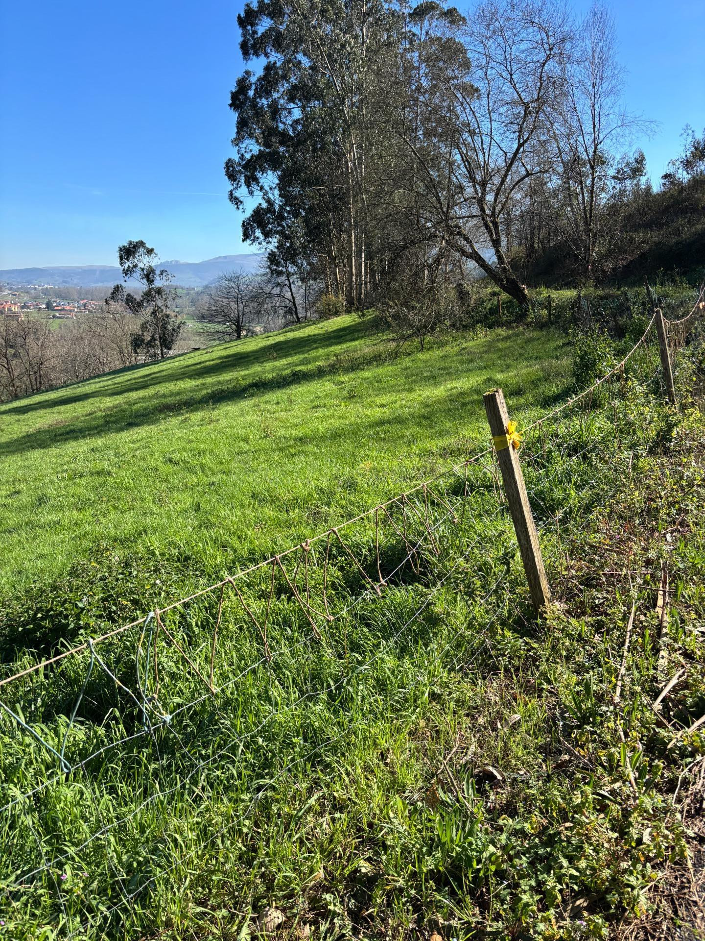Terreno rustico con posibilidad de construir - foto 3