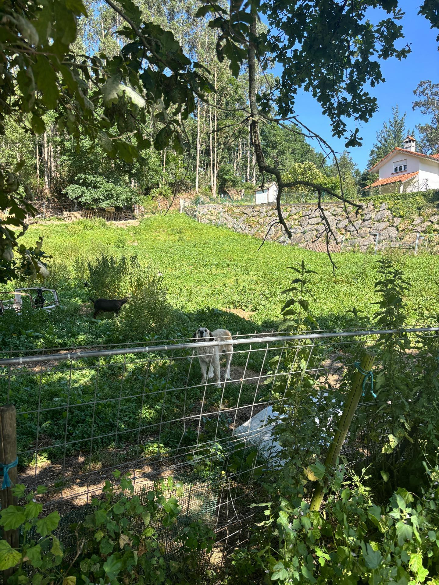 Terreno urbano 112m² en venta - Northern spain - foto 4