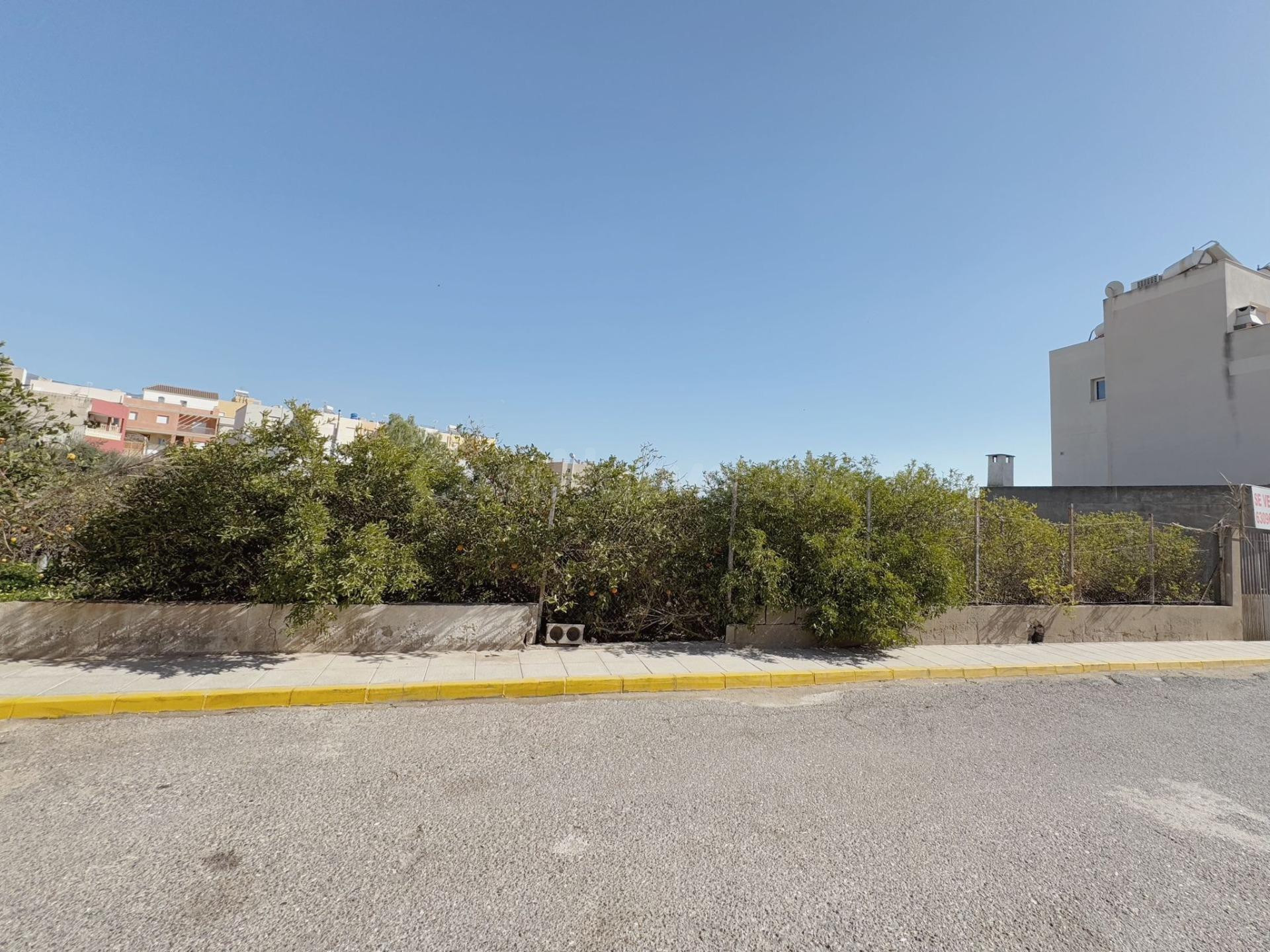 EN VENTA TRES PARCELAS EN PECHINA CENTRO