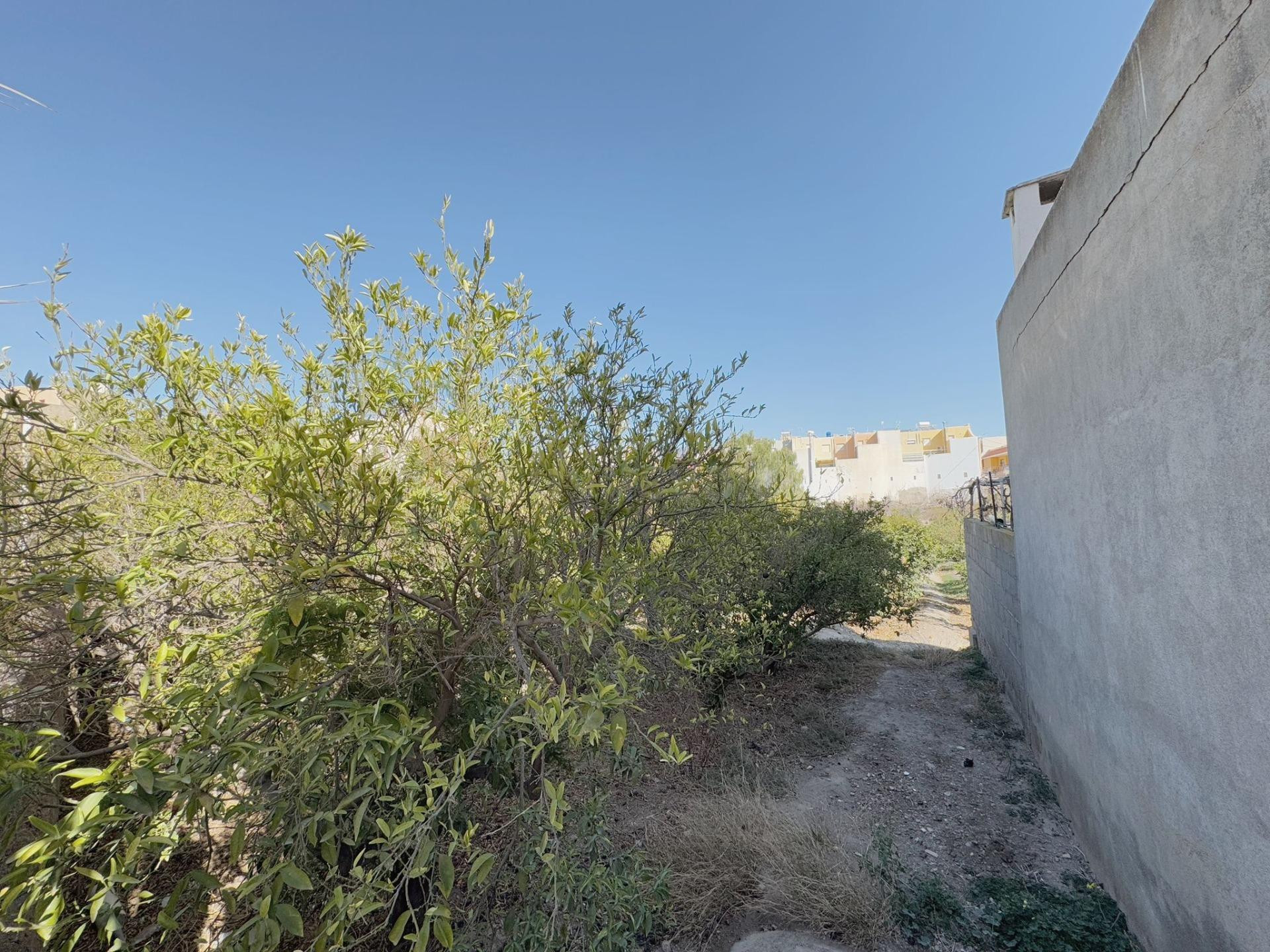 EN VENTA TRES PARCELAS EN PECHINA CENTRO - foto 4