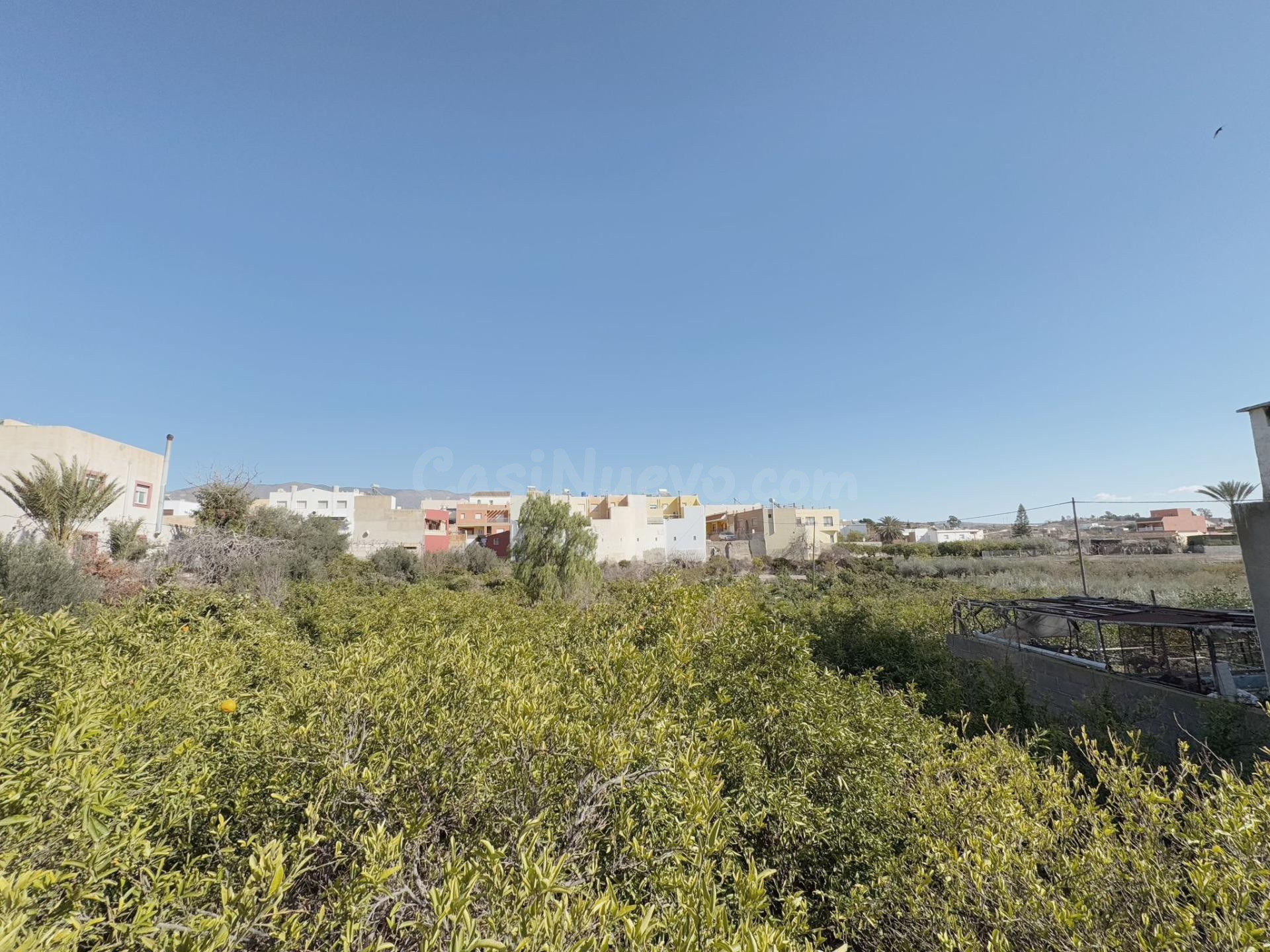 EN VENTA TRES PARCELAS EN PECHINA CENTRO - foto 5