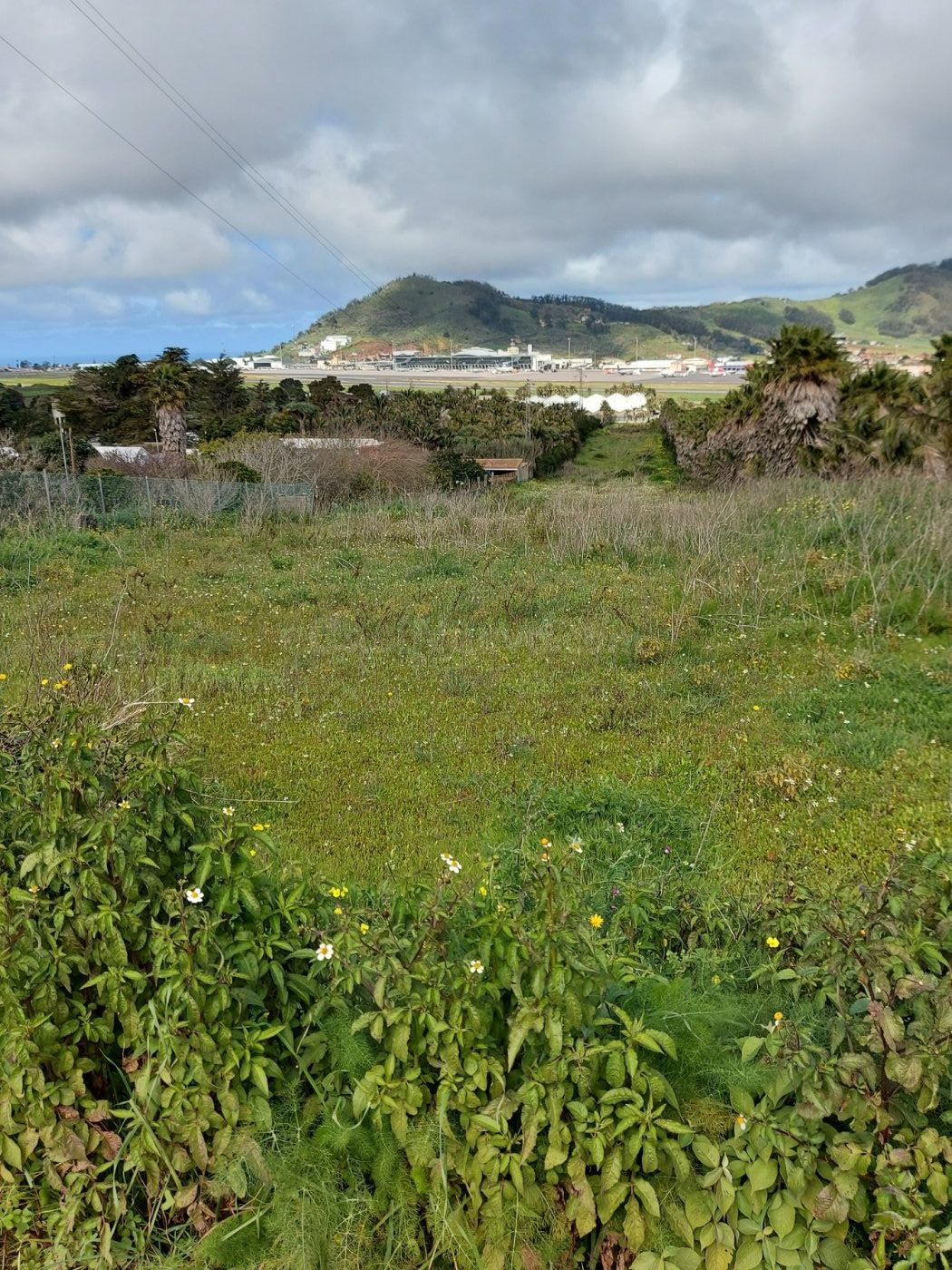 TERRENO AGRARIO EN EL CAMINO , EL RODEO . LA LAGUNA.