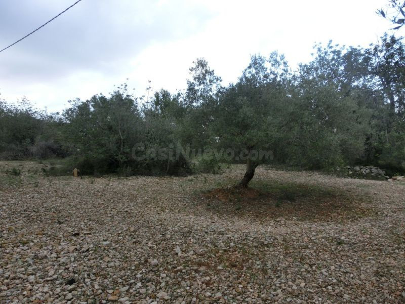 Sant Carles de la Rapita, Poligono  El Salt. Parcela de 11.700 m2. Precio negociable!