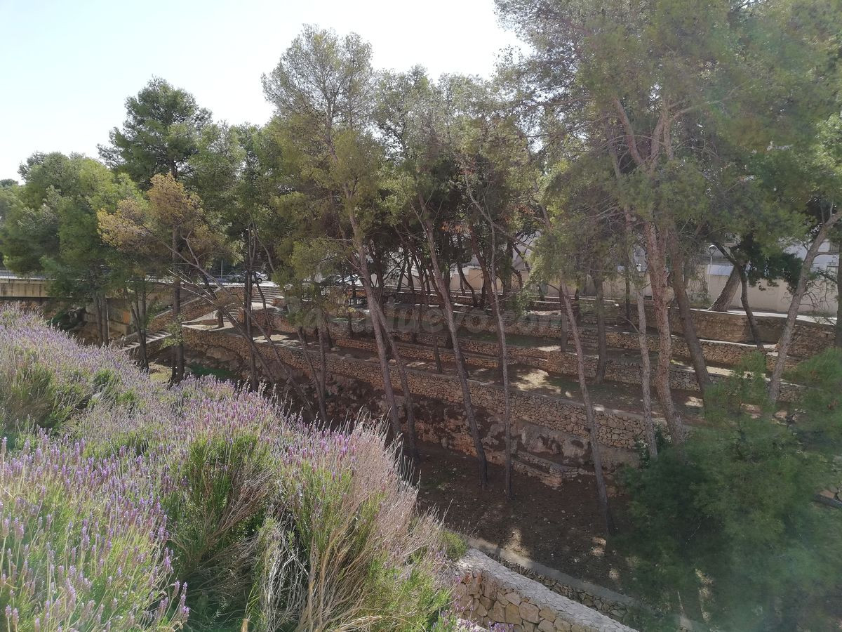 Solar de 64 m2 esquinero en el centro del pueblo. - foto 3