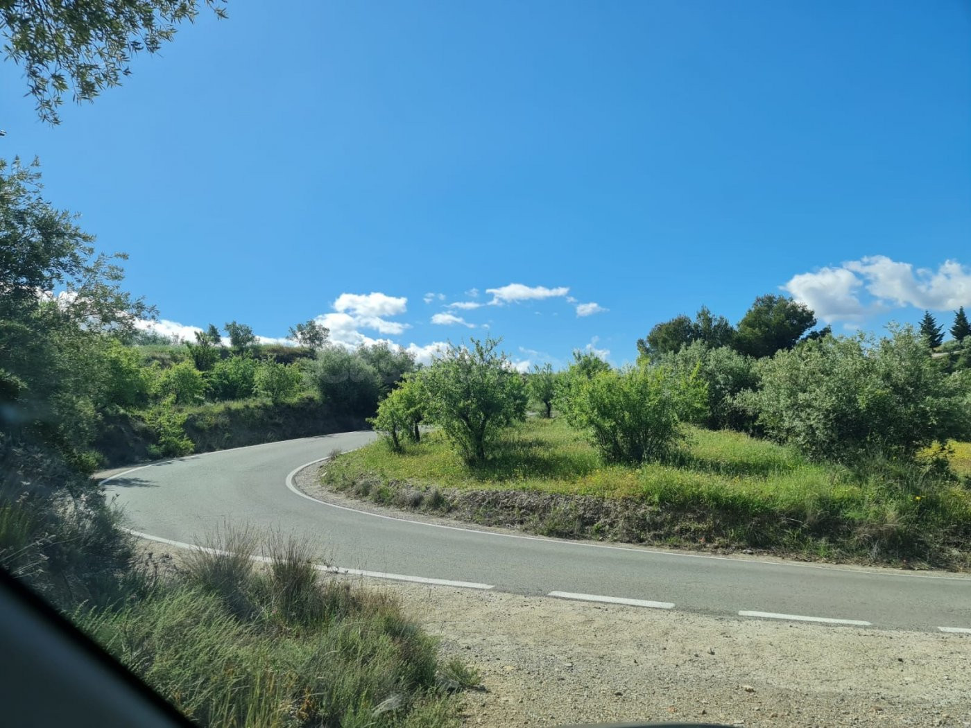 SE VENDE FINCA RUSTICA EN MAIRENA, A 15 MINUTOS DE UGIJAR (6