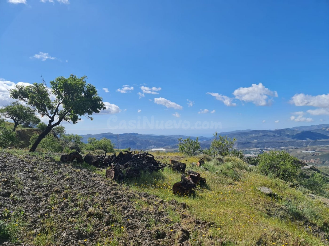 SE VENDE FINCA RUSTICA EN MAIRENA, A 15 MINUTOS DE UGIJAR (6 - foto 2