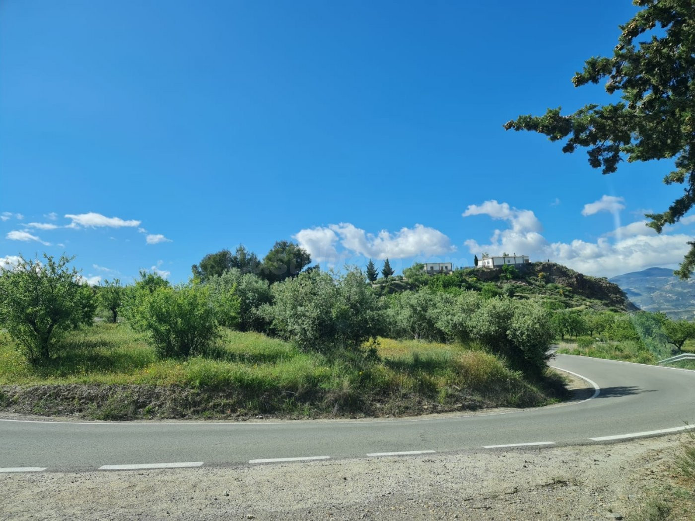 SE VENDE FINCA RUSTICA EN MAIRENA, A 15 MINUTOS DE UGIJAR (6 - foto 3