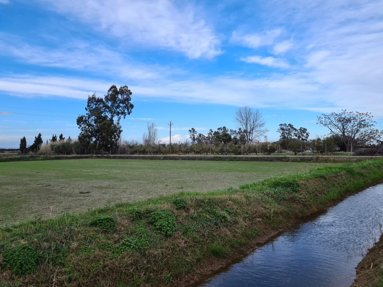 Se vende finca rústica de regadío en Poble Nou del Delta, Am