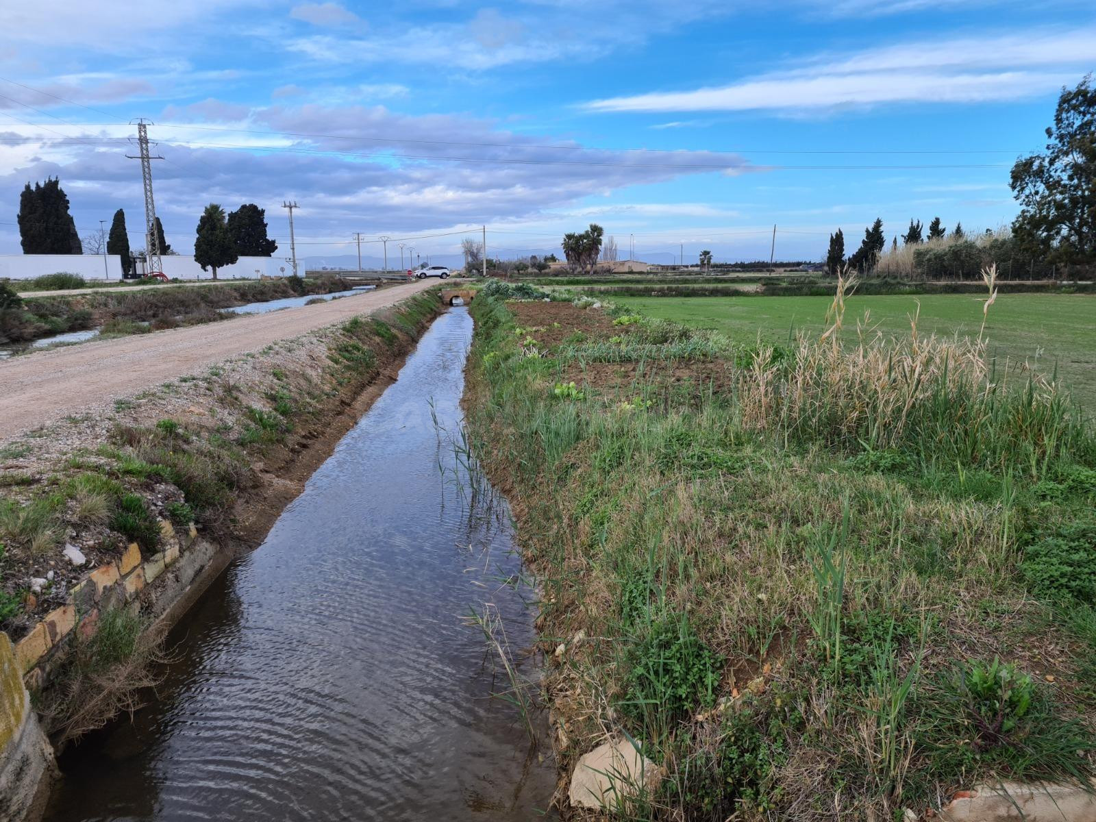 Se vende finca rústica de regadío en Poble Nou del Delta, Am - foto 2