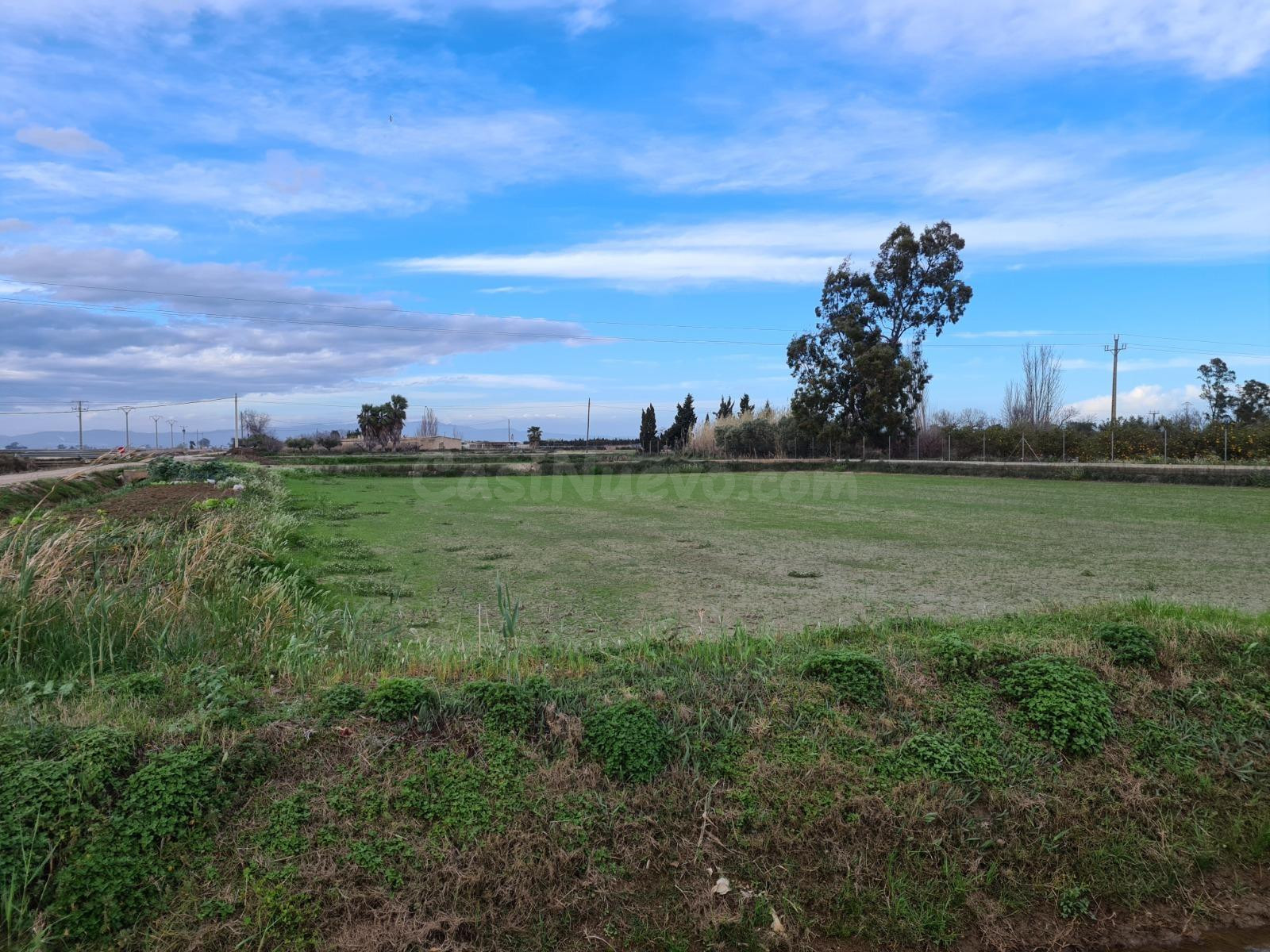 Se vende finca rústica de regadío en Poble Nou del Delta, Am - foto 3