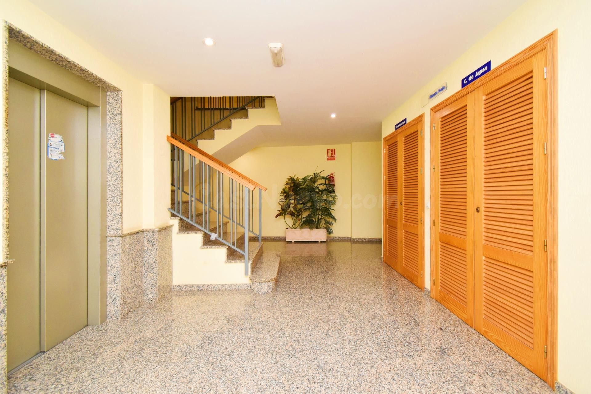 Piso de 3 dormitorios en el centro de El Ejido - Ejido Norte - foto 2