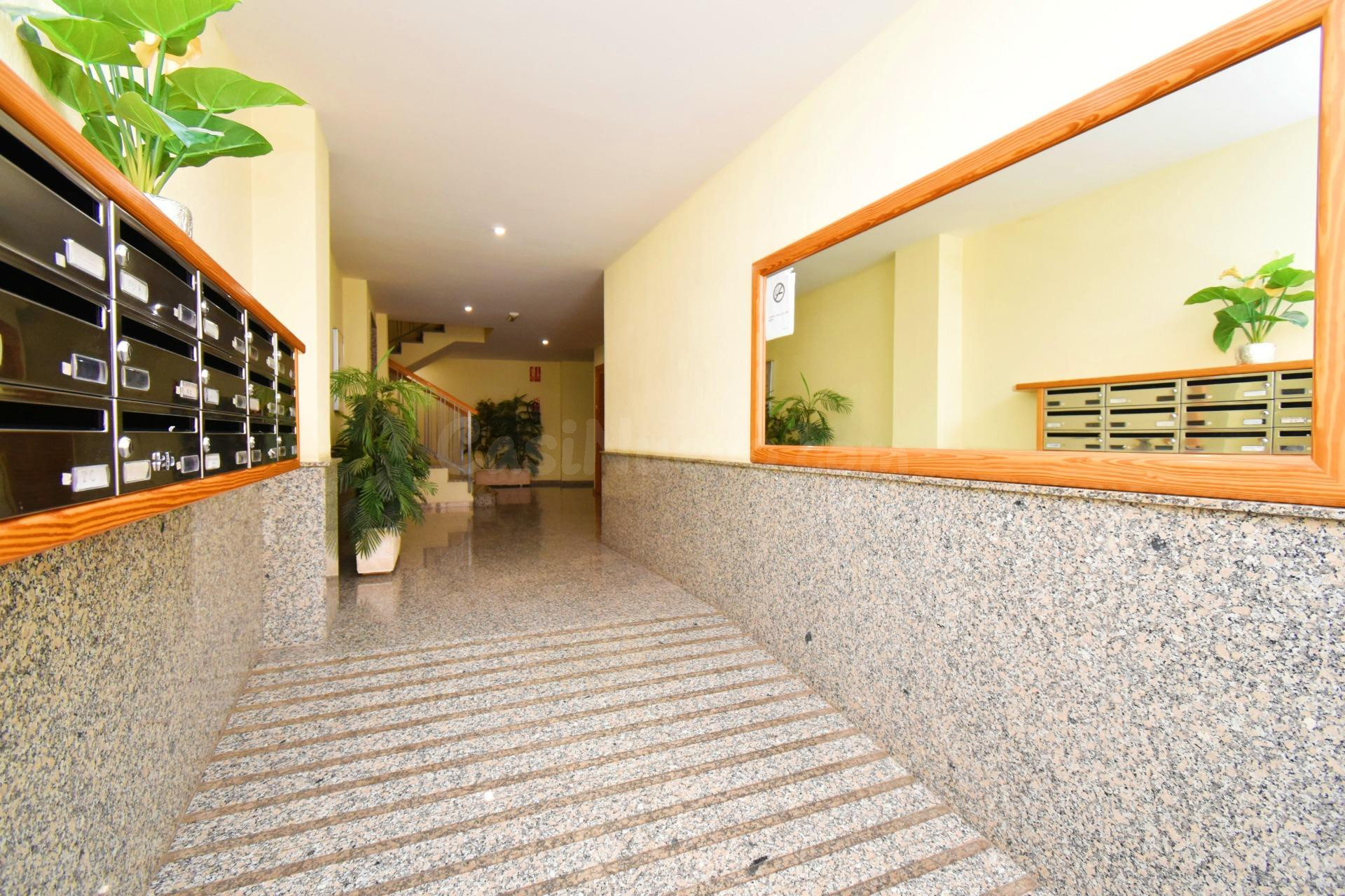 Piso de 3 dormitorios en el centro de El Ejido - Ejido Norte - foto 3