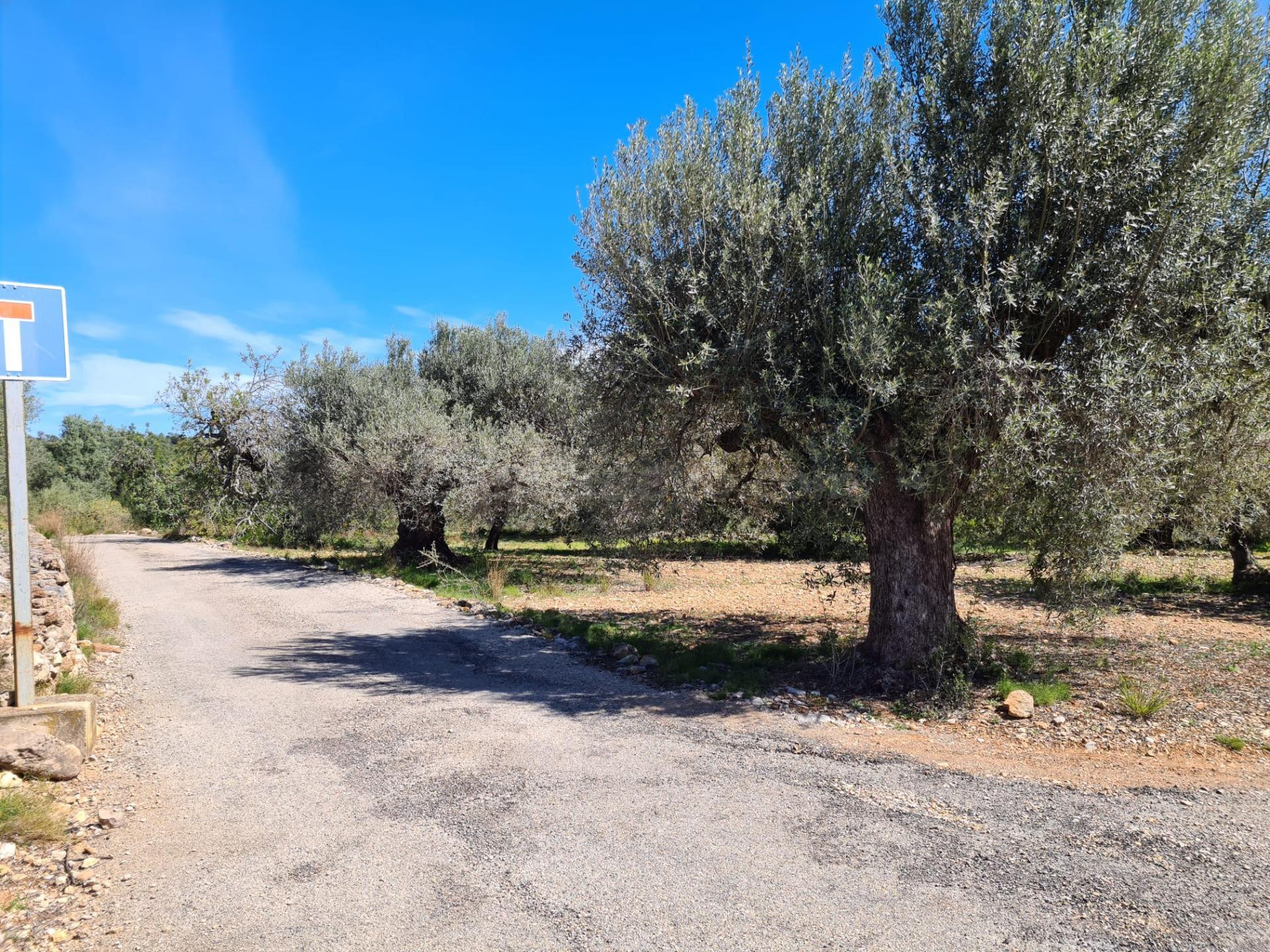 Terreno Rural de 28.000 m2 en La Ràpita