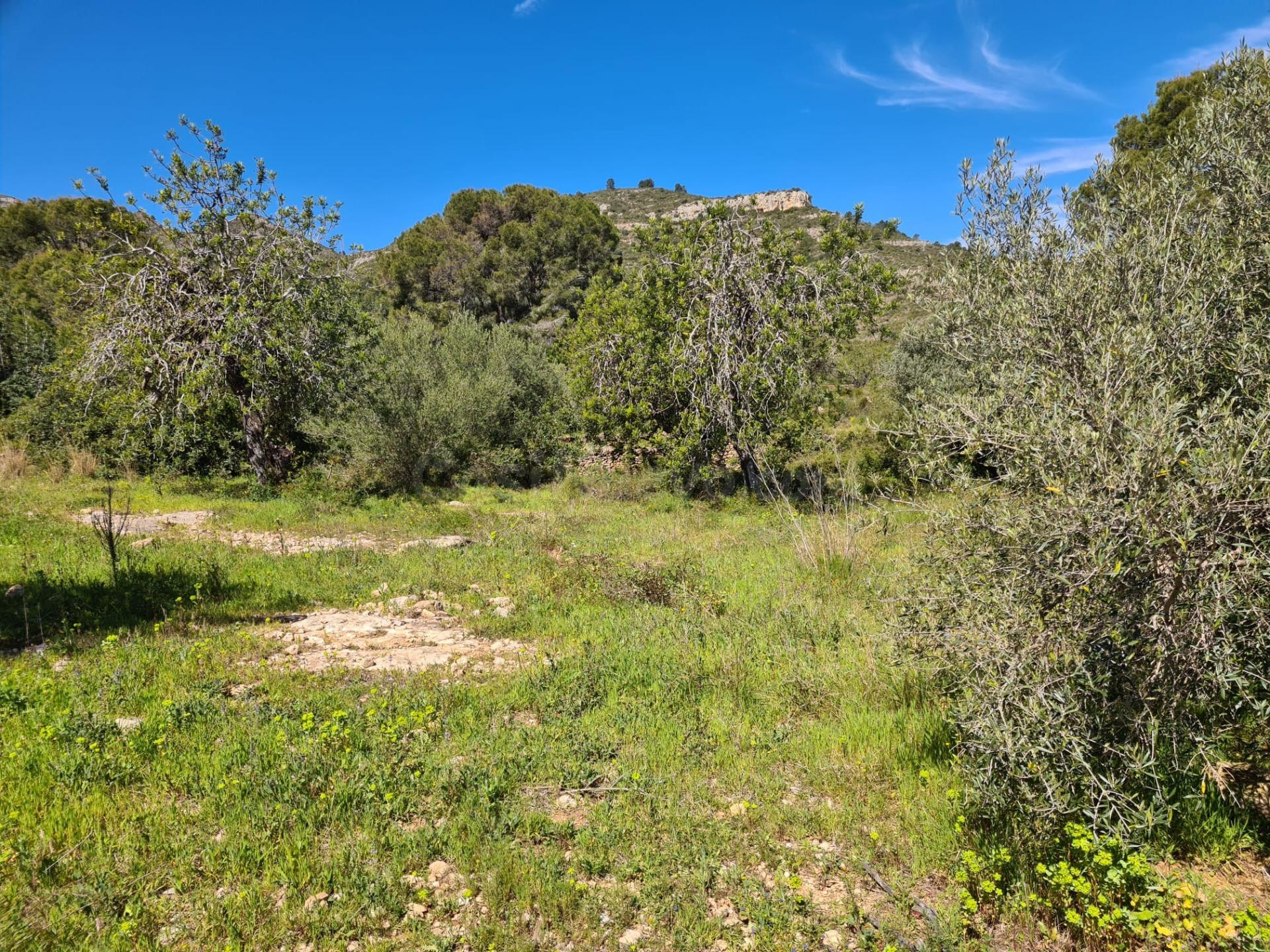 Terreno Rural de 28.000 m2 en La Ràpita - foto 4
