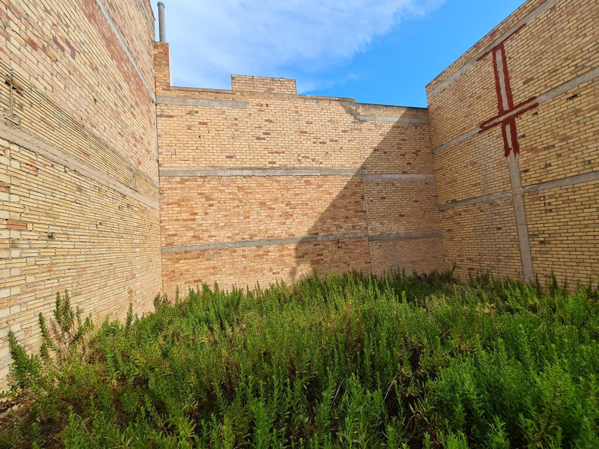 Solar para edificar un edificio de pisos o hacer vivienda un - foto 3