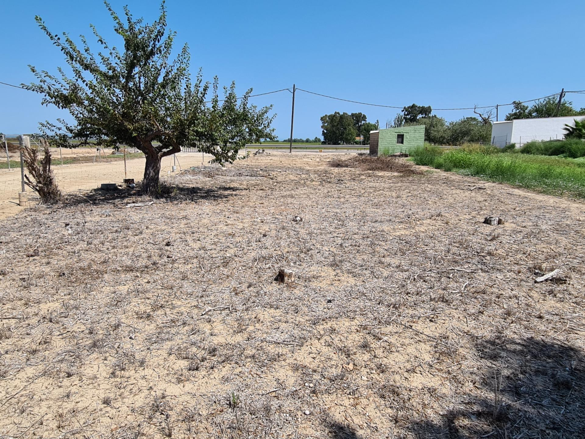 SOLAR URBANO DE 695 M2 EN ELS MUNTELLS, SANT JAUME D'ENVEJA - foto 3