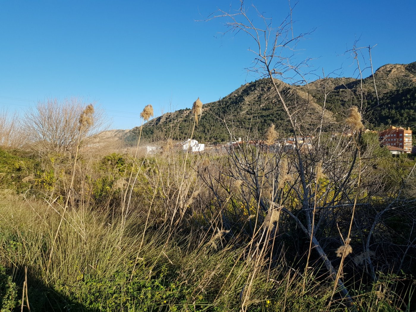 Parcela de 3,5 Tahúllas cerca del pueblo. - foto 3