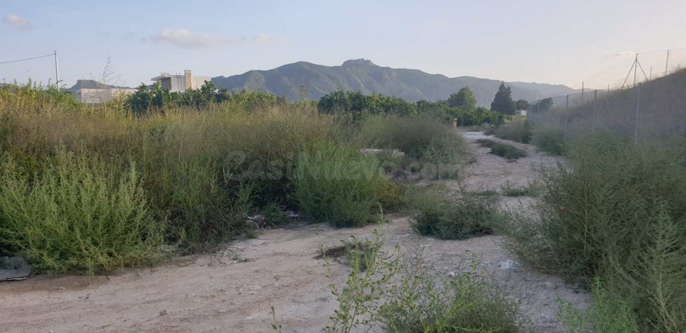Parcela rustica con plantación de naranjos - foto 4