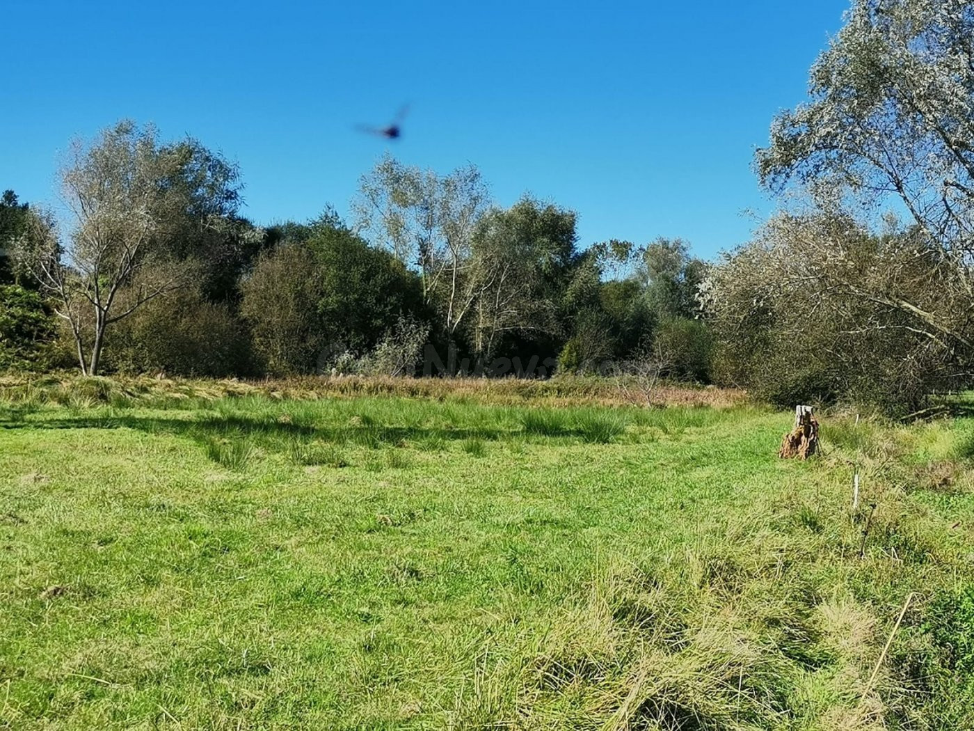 Terreno rustico