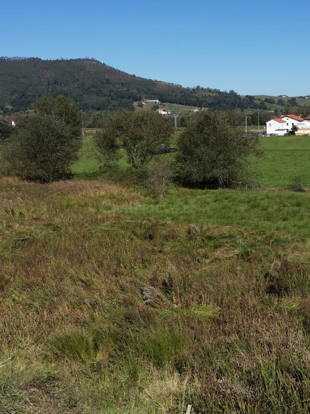 Terreno rustico - foto 4