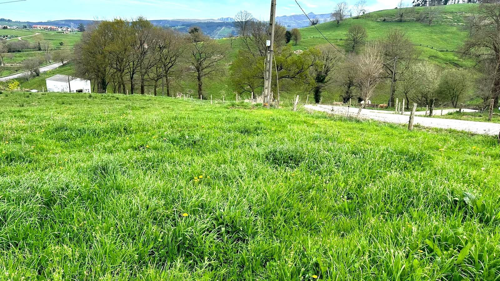 TERRENO URBANIZABLE CON LICENCIA DE OBRA - foto 2