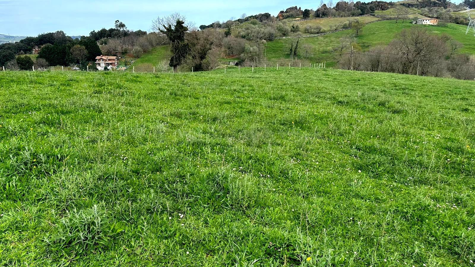 TERRENO URBANIZABLE CON LICENCIA DE OBRA - foto 5