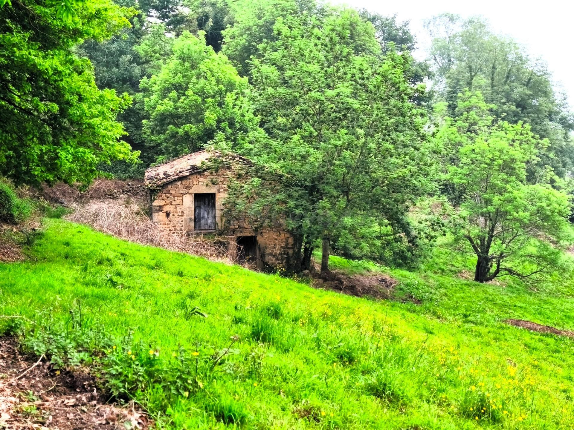CABAÑA EN VILLACARRIEDO CON 11.658M DE TERRENO