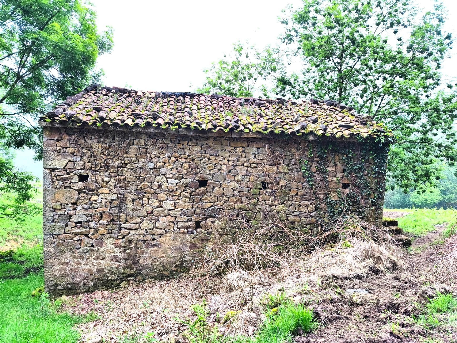 CABAÑA EN VILLACARRIEDO CON 11.658M DE TERRENO - foto 2