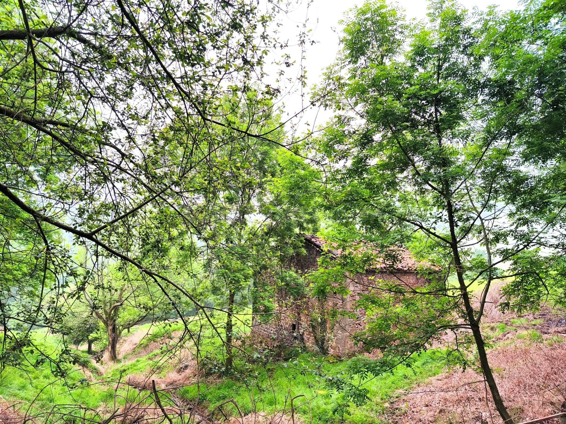 CABAÑA EN VILLACARRIEDO CON 11.658M DE TERRENO - foto 3