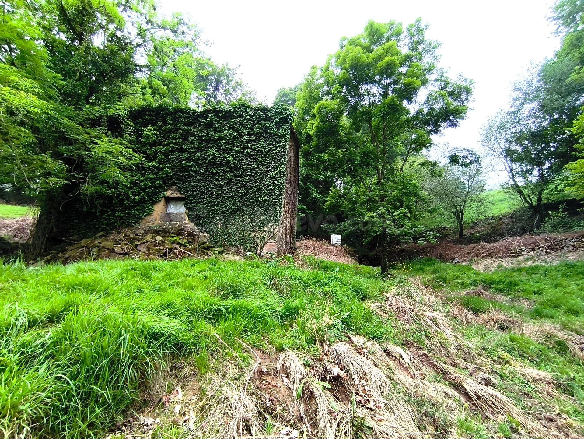 CABAÑA EN VILLACARRIEDO CON 11.658M DE TERRENO - foto 4