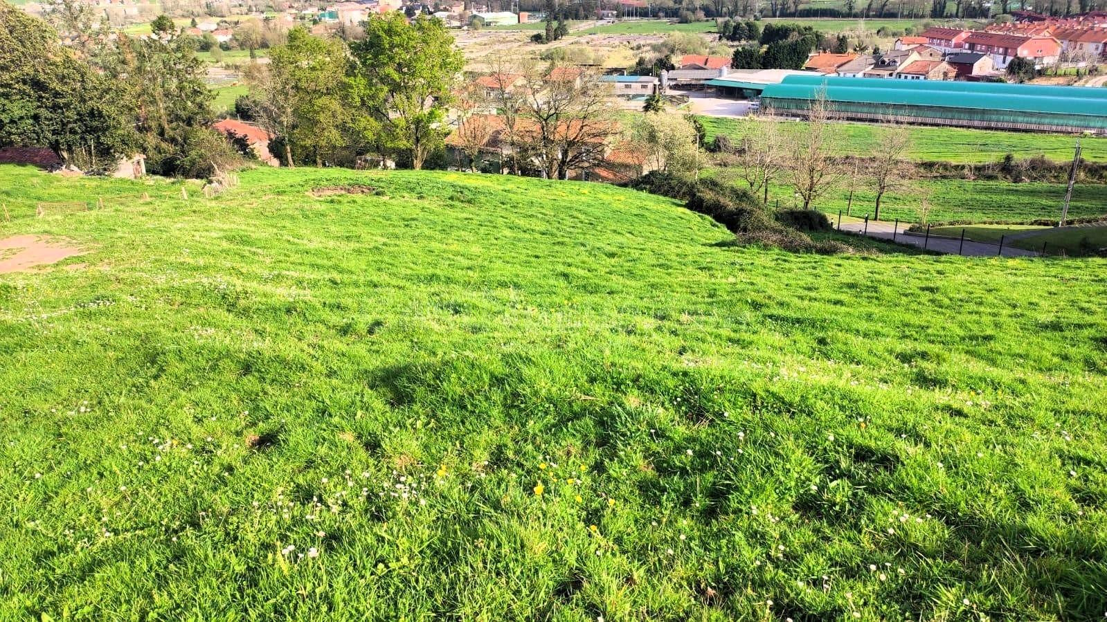 GRAN TERRENO URBANO EN VIOÑO (PIELAGOS)