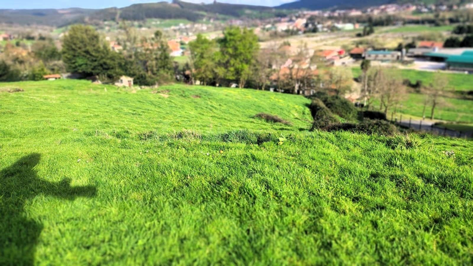 GRAN TERRENO URBANO EN VIOÑO (PIELAGOS) - foto 5