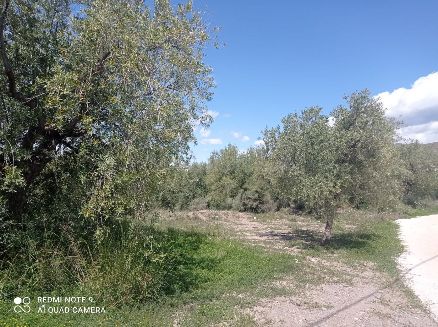 Terreno rural en venta - Gérgal - Gérgal - foto 2