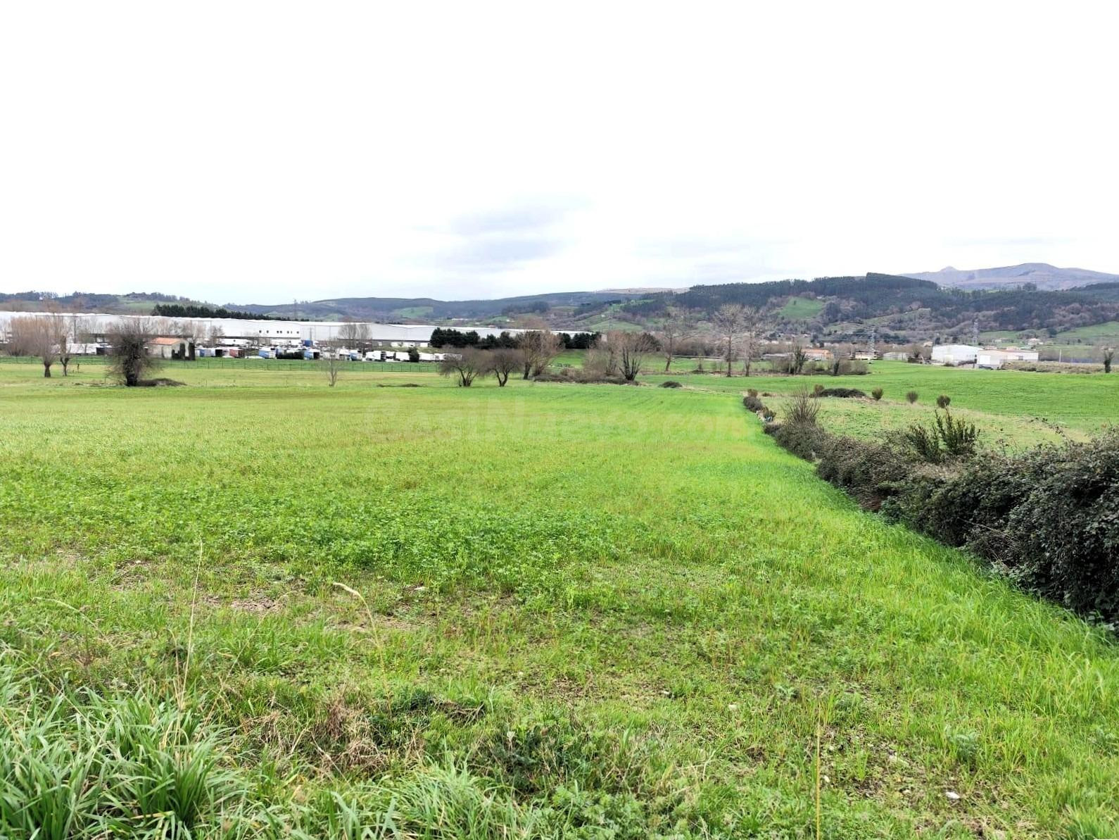 Parcela edificable para vivienda unifamiliar en Sobarzo - foto 4