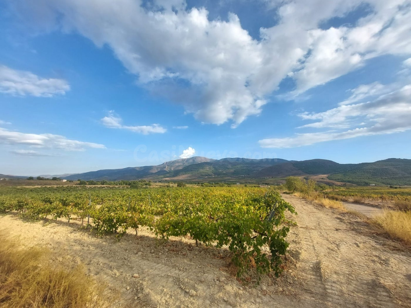 Finca rústica en venta - Laujar de Andarax