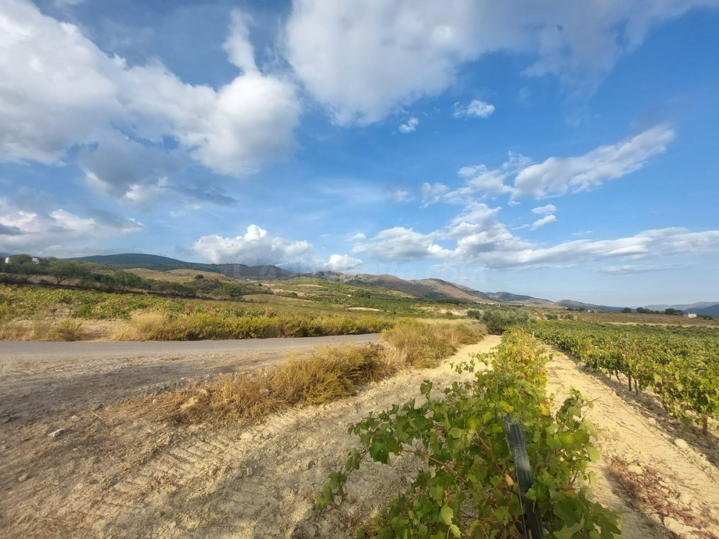 Finca rústica en venta - Laujar de Andarax - foto 2