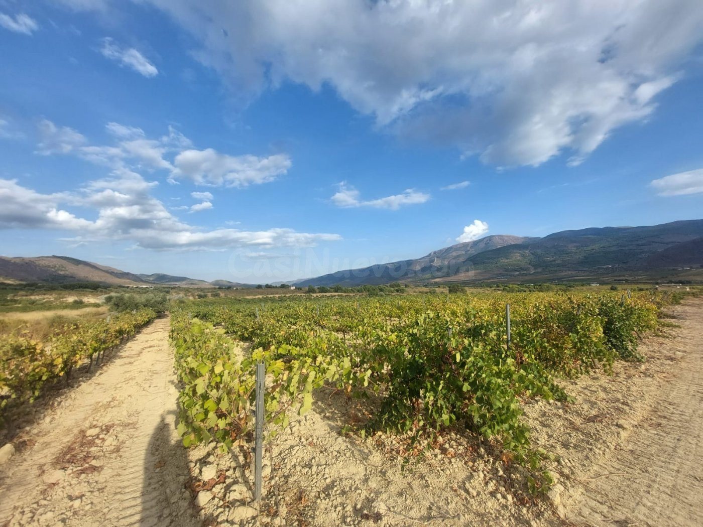 Finca rústica en venta - Laujar de Andarax - foto 3