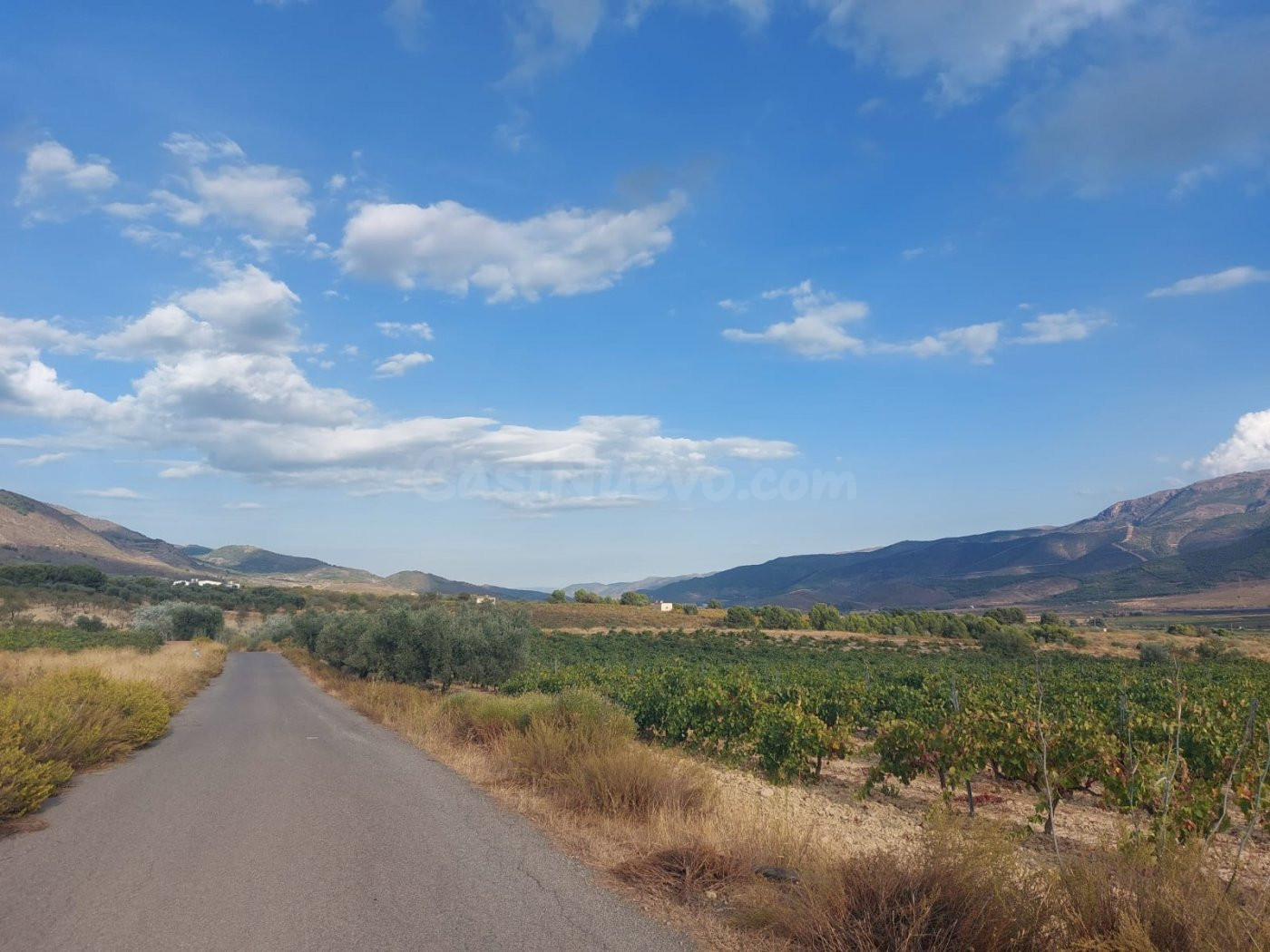 Finca rústica en venta - Laujar de Andarax - foto 5
