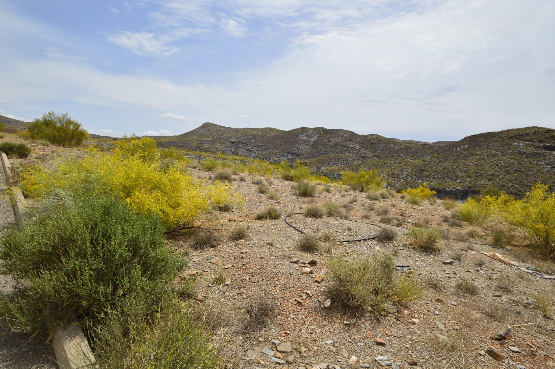 Terreno urbanizable en venta - GERGAL - foto 3