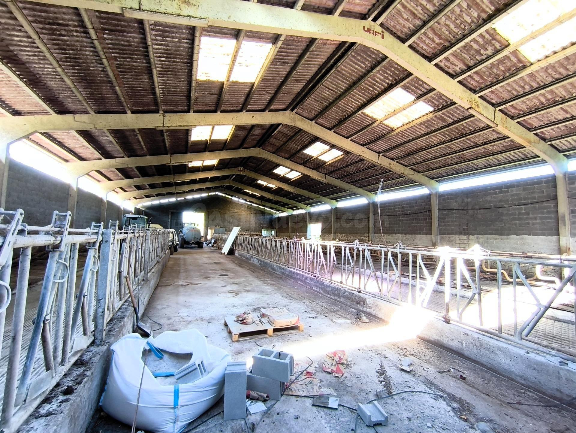 Nave en alquiler en Sobarzo - foto 5