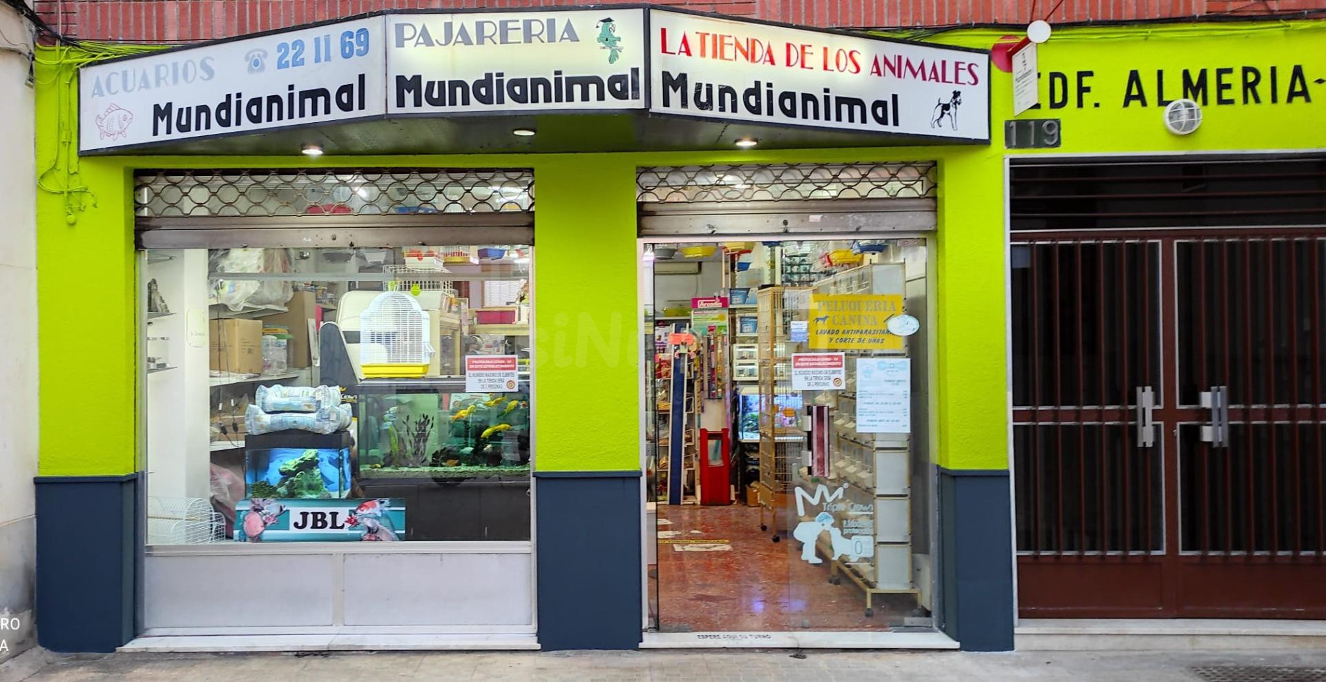 LOCAL COMERCIAL - foto 2