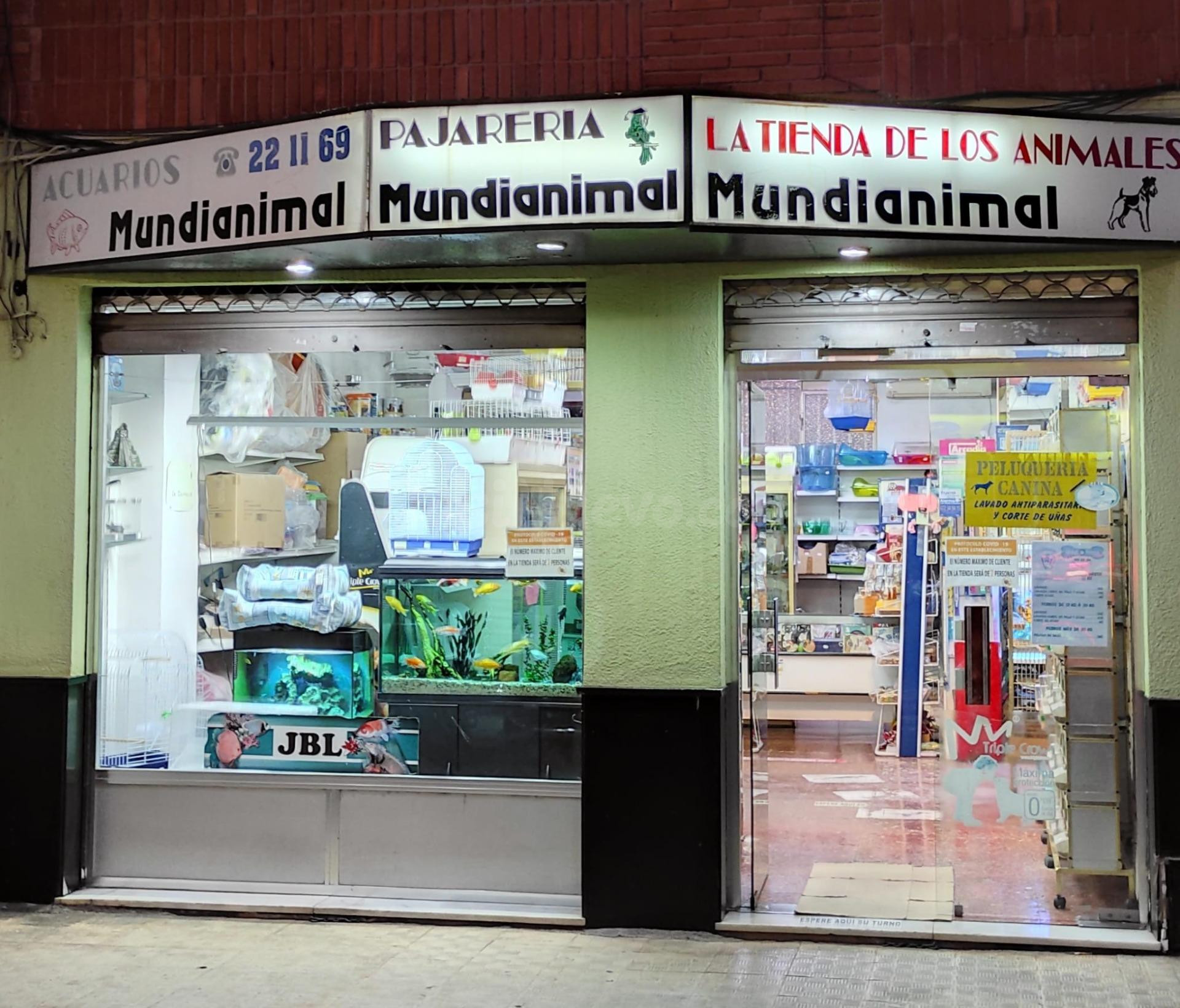 LOCAL COMERCIAL - foto 3