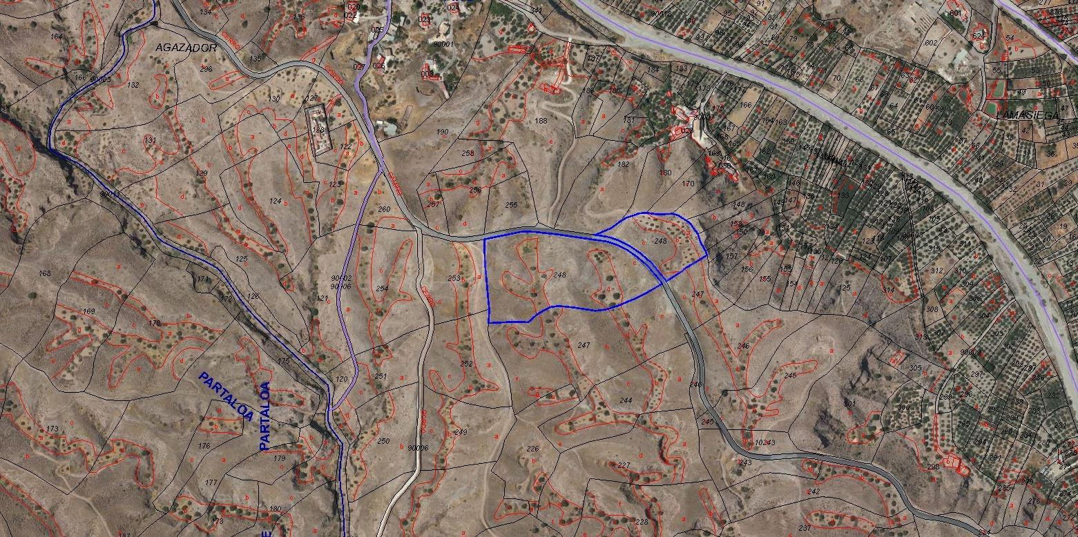 Venta finca rustica en Albox