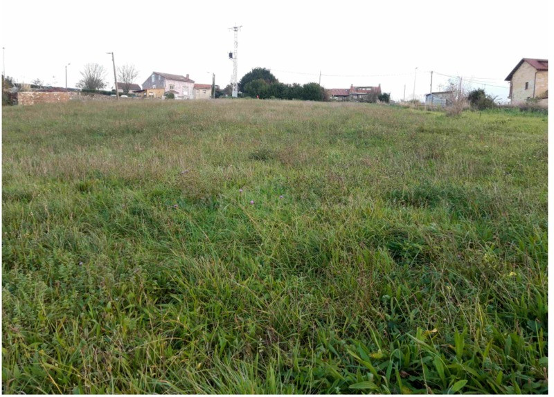 Suelo urbanizable residencial en MONTE BOLADO, Santander - foto 3