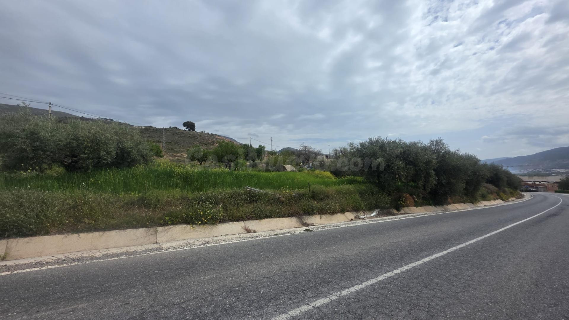 CORTIJO EL VISILLO - foto 2