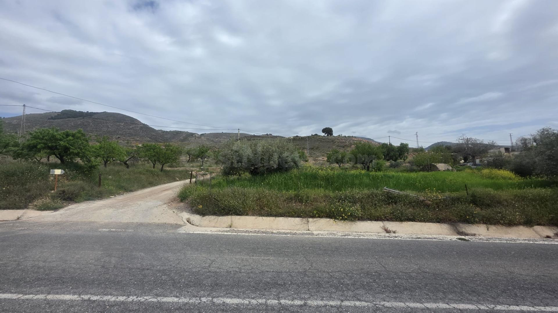 CORTIJO EL VISILLO - foto 3