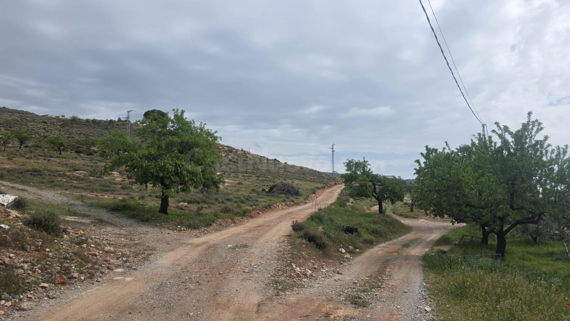CORTIJO EL VISILLO - foto 4